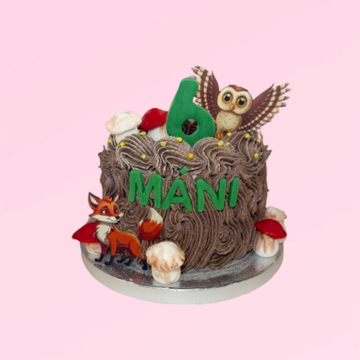 Gefeliciteerd Máni! Geniet van je bos thema taart gevuld met @lotusbiscoffus 💚