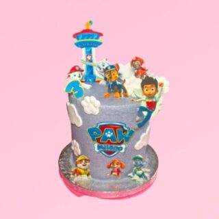 Paw Patrol voor Milano🩷